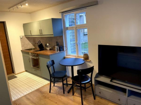 Charming Flat in a Unique Wooden Building neighbourhood in Downtown Tallinn, Tallinn